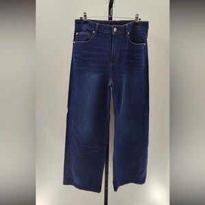 Quince Women Bella Stretch Relaxed Wide Leg Jeans Color Is Stormy Blue Size 31